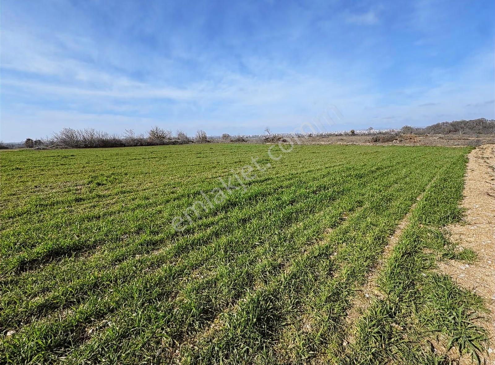 Güneş Emlaktan Karacaibrahim Tapulu 3600 M2 Arsa Değerinde Tarla