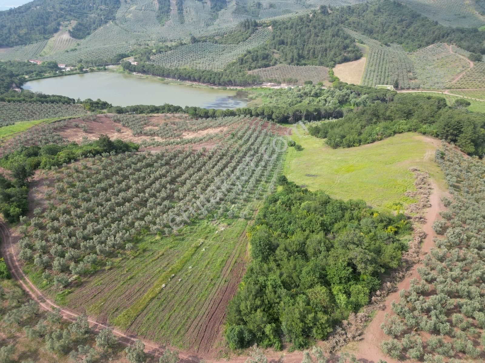 Kurtul Göleti Ve Deniz Manzaralı Kırsal Turizm Potansiyeli Olan - Görsel 3
