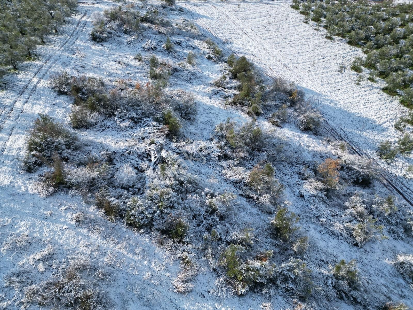 Kurtul Göleti Ve Deniz Manzaralı Kırsal Turizm Potansiyeli Olan - Görsel 10