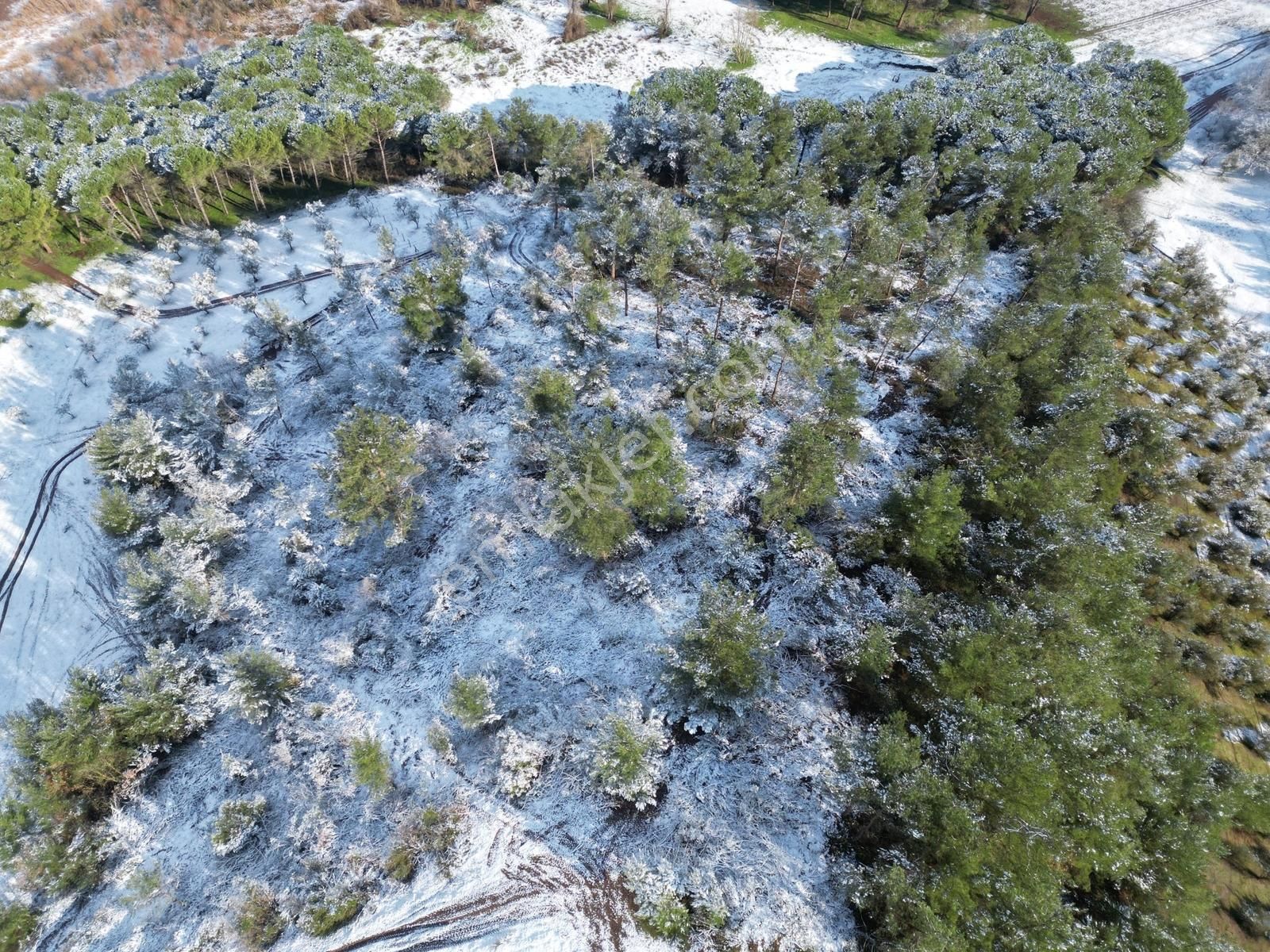 Kurtul Göleti Ve Deniz Manzaralı Kırsal Turizm Potansiyeli Olan - Görsel 14