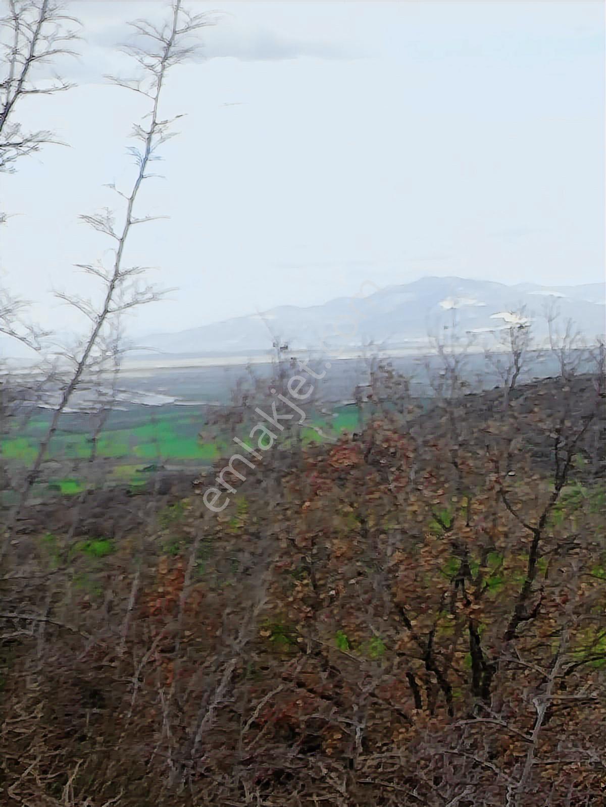 Hamzalısüleymaniyede Kaçırılmayacak 9 Dönüm Verimli Tarla - Görsel 2