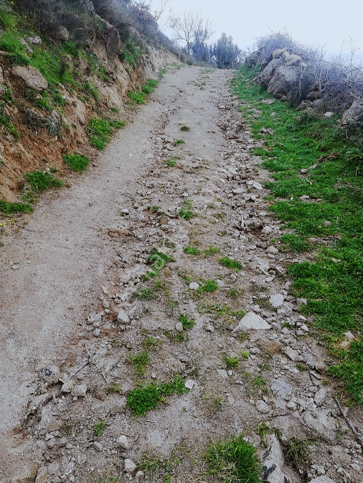 Hamzalısüleymaniyede Kaçırılmayacak 9 Dönüm Verimli Tarla - Görsel 14