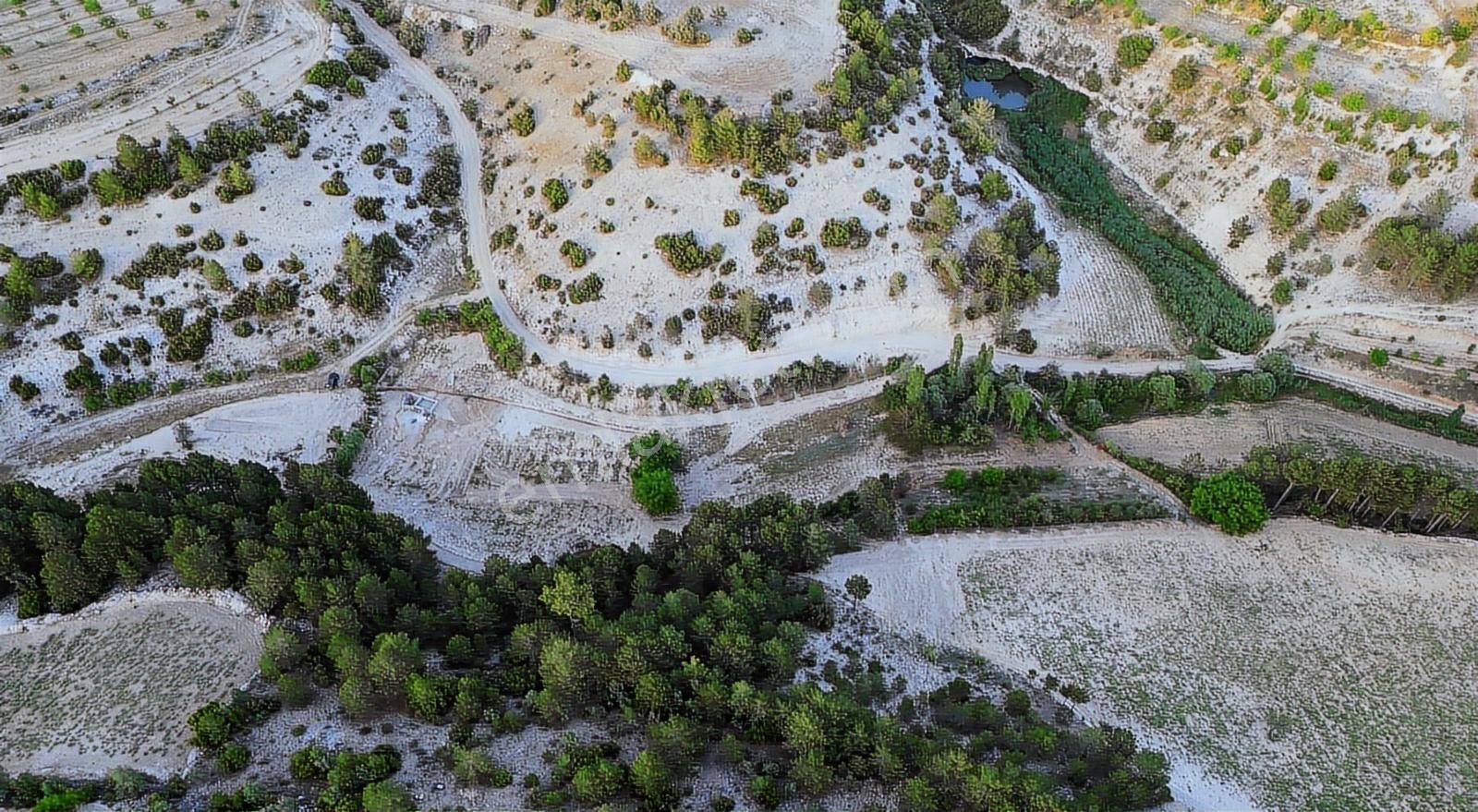 Pamukkale'de Satılık 6.537 M2 Saklı Cennet Bahçesi - Görsel 16