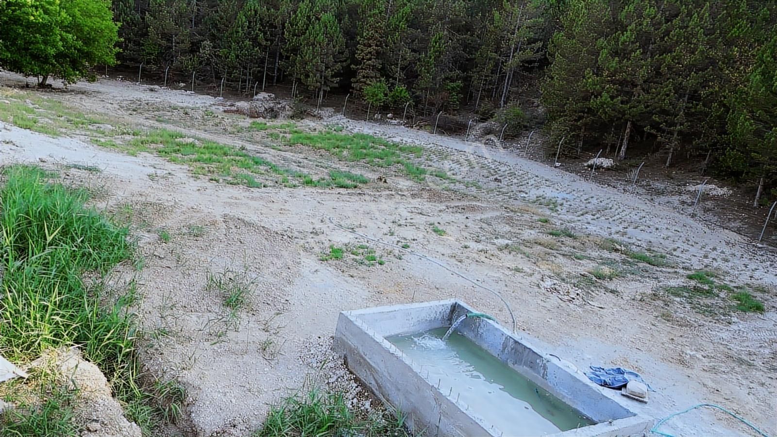 Pamukkale'de Satılık 6.537 M2 Saklı Cennet Bahçesi - Görsel 6