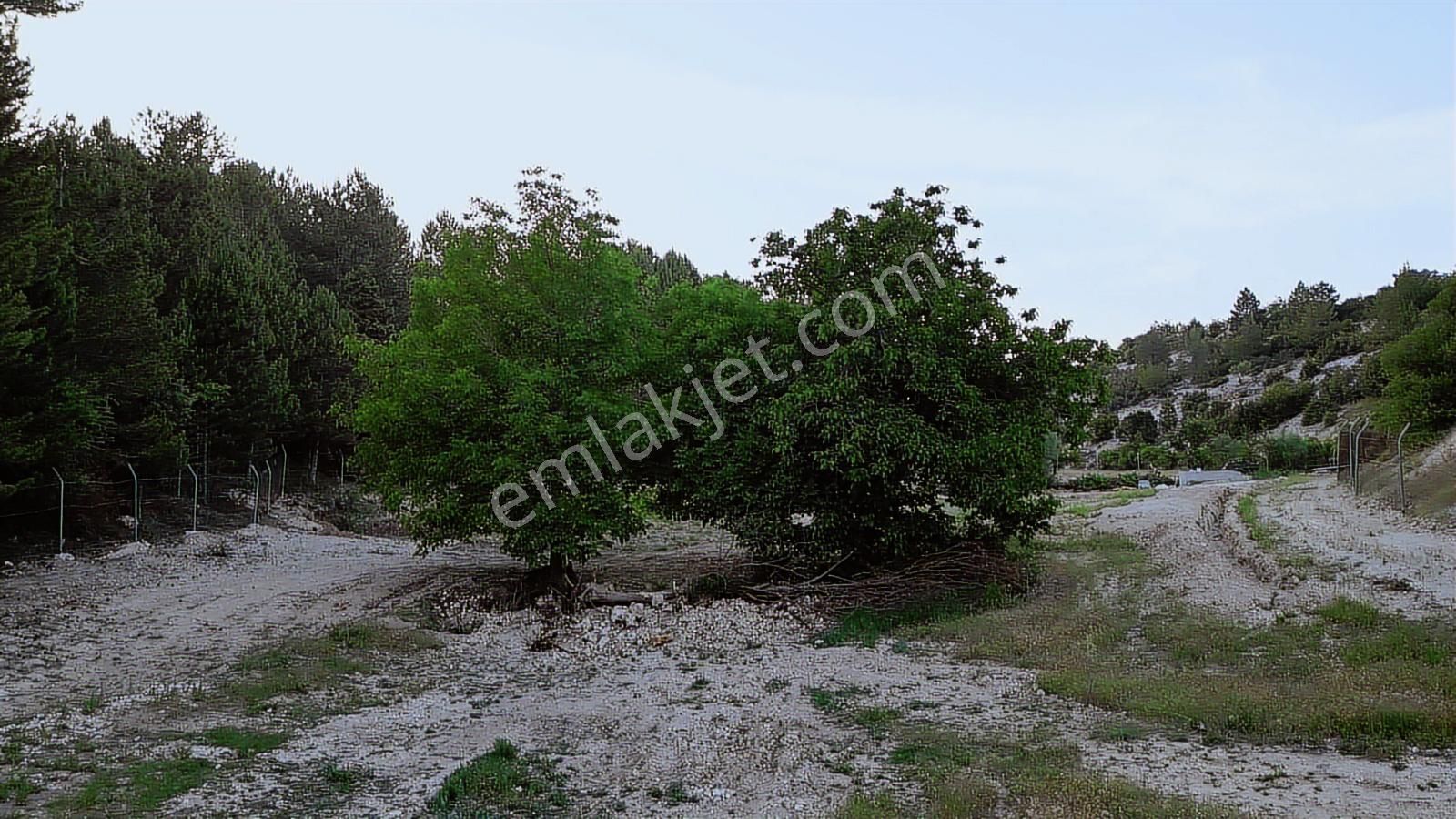Pamukkale'de Satılık 6.537 M2 Saklı Cennet Bahçesi - Görsel 34