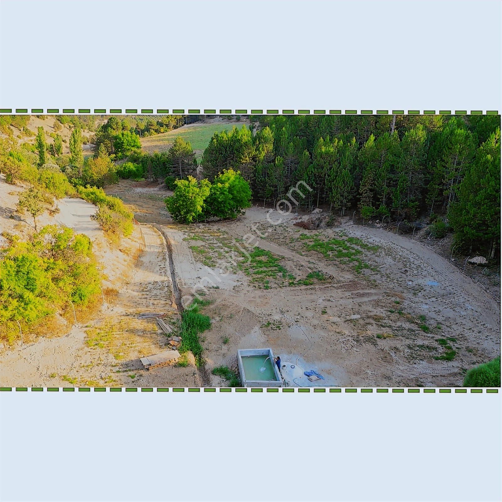 Pamukkale'de Satılık 6.537 M2 Saklı Cennet Bahçesi - Görsel 21