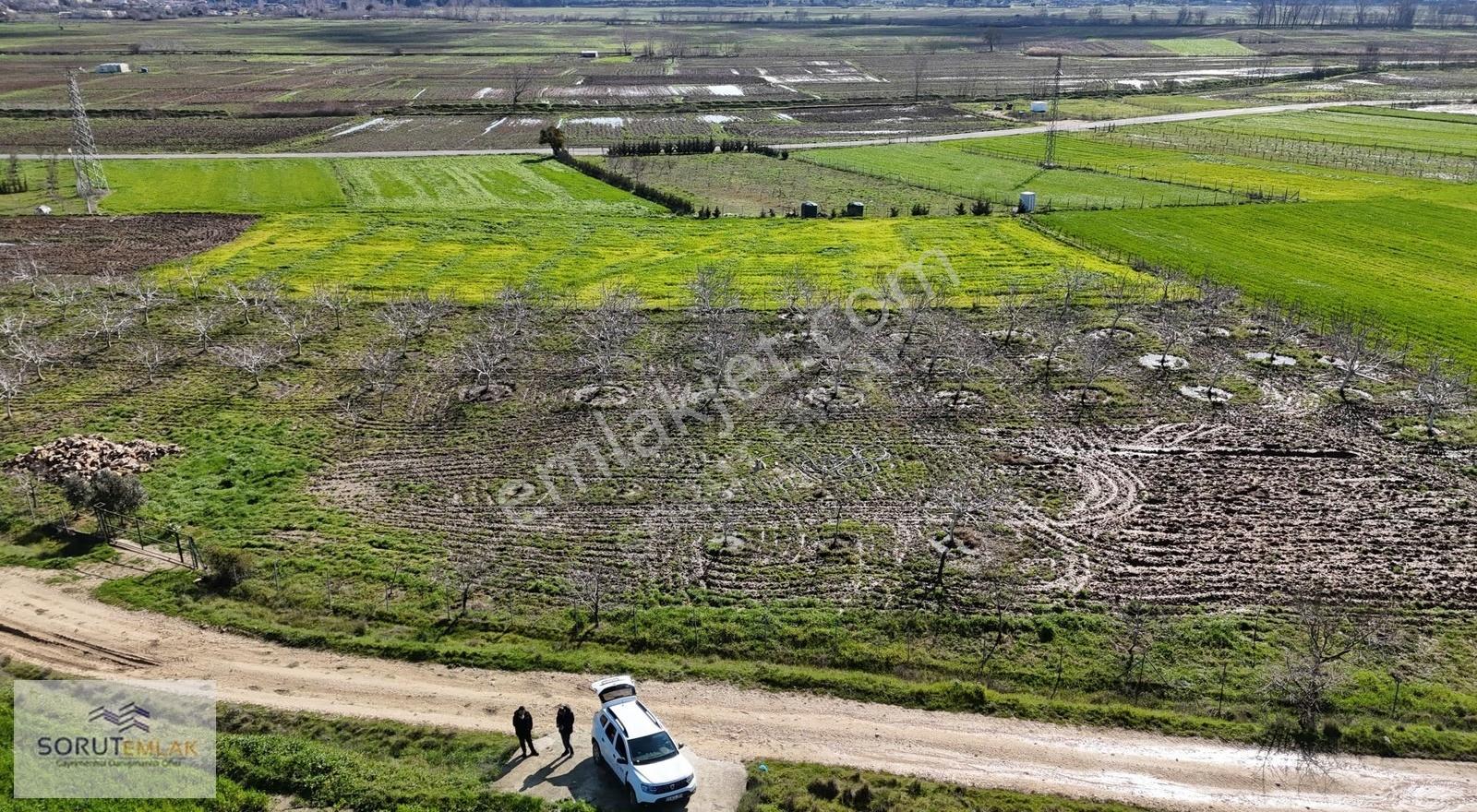 Keşan Mecidiye'de Satılık Ceviz Bahçesi - 5.537 M²
