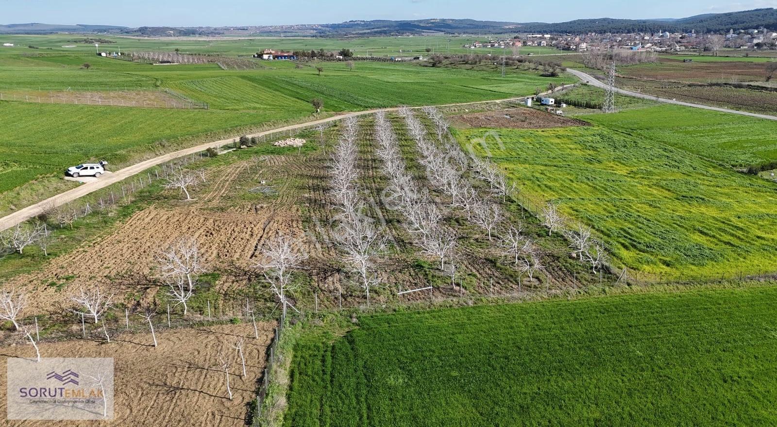 Keşan Mecidiye'de Satılık Ceviz Bahçesi - 5.537 M² - Görsel 32