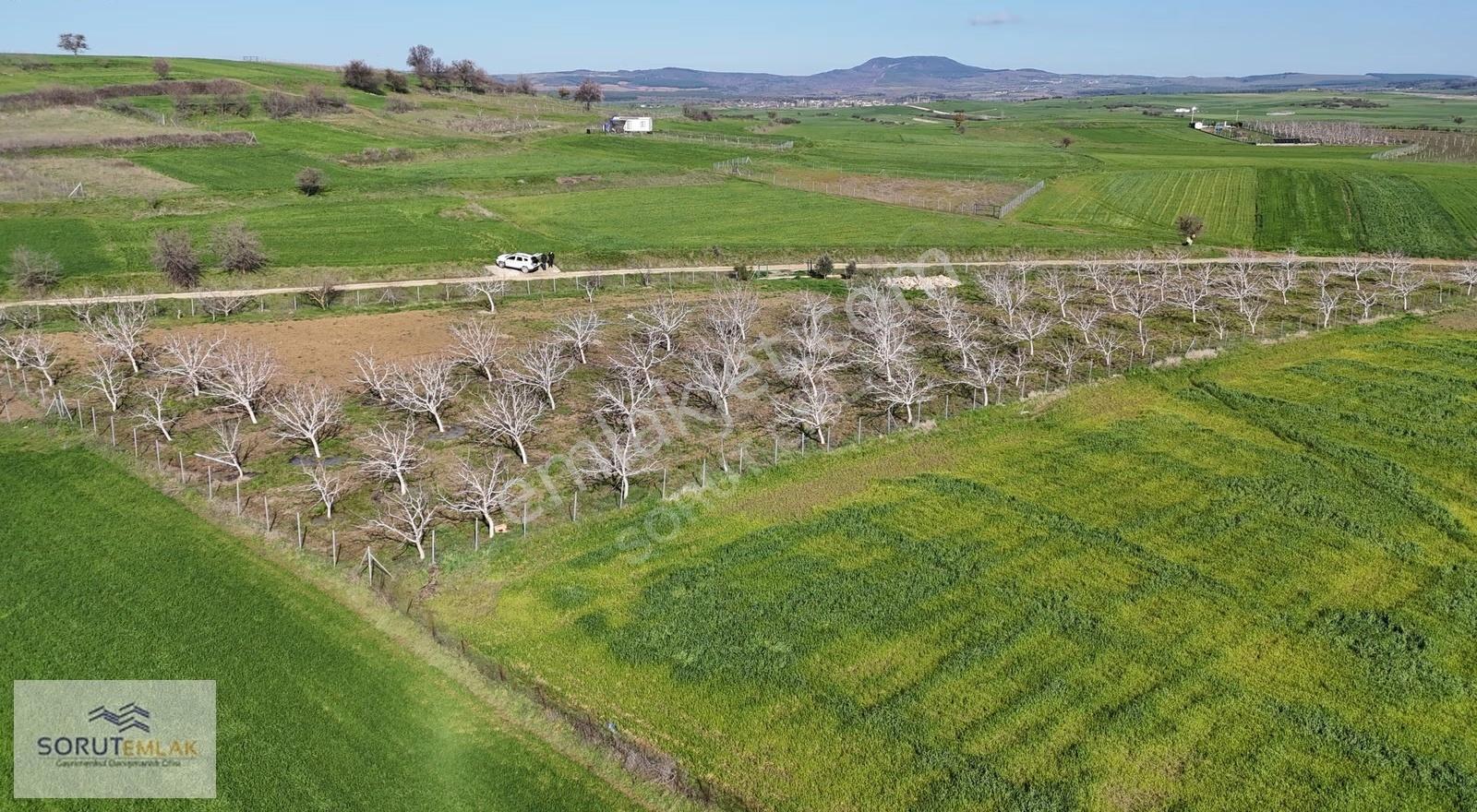 Keşan Mecidiye'de Satılık Ceviz Bahçesi - 5.537 M² - Görsel 19