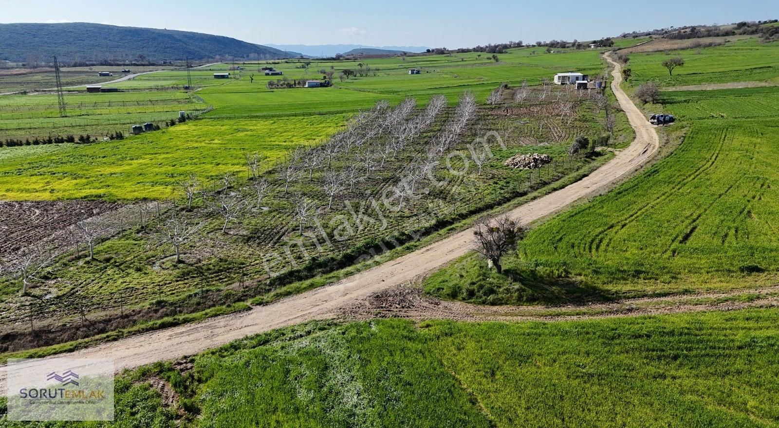 Keşan Mecidiye'de Satılık Ceviz Bahçesi - 5.537 M² - Görsel 22