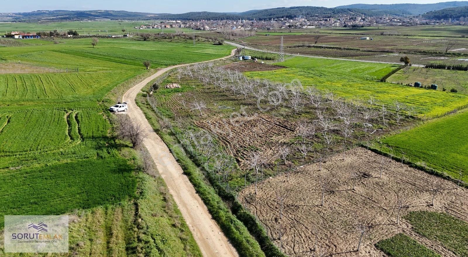 Keşan Mecidiye'de Satılık Ceviz Bahçesi - 5.537 M² - Görsel 23