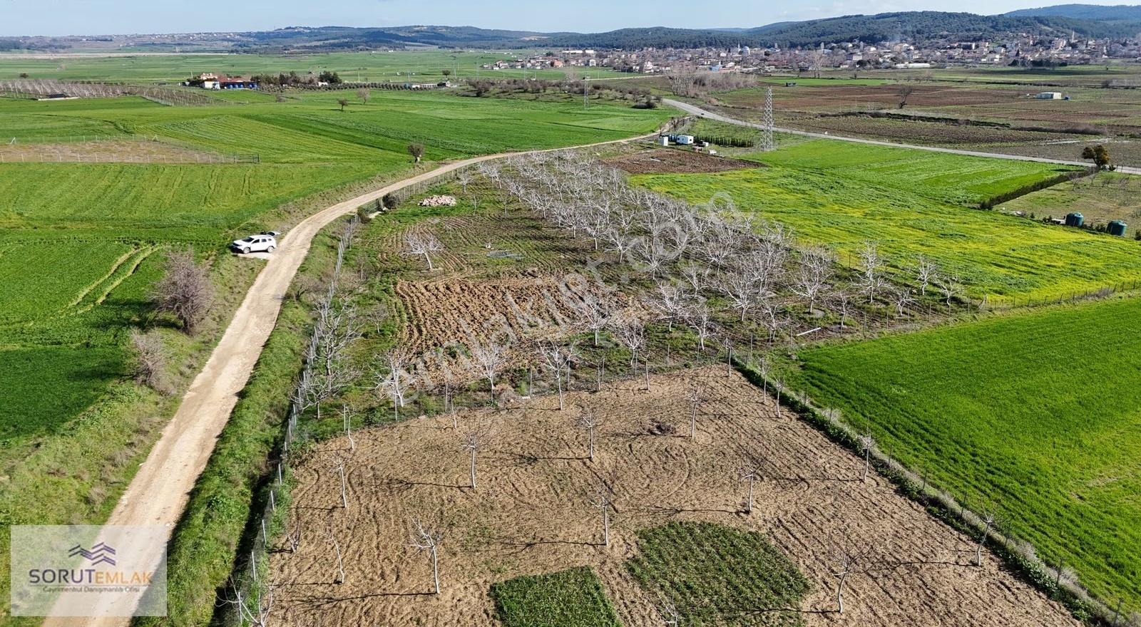 Keşan Mecidiye'de Satılık Ceviz Bahçesi - 5.537 M² - Görsel 27