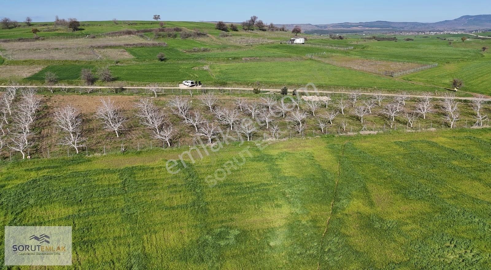 Keşan Mecidiye'de Satılık Ceviz Bahçesi - 5.537 M² - Görsel 29