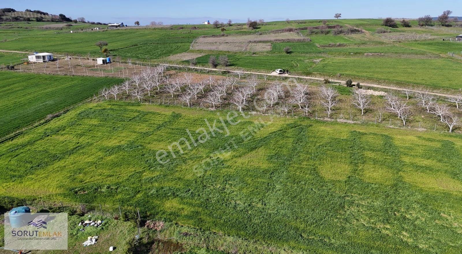 Keşan Mecidiye'de Satılık Ceviz Bahçesi - 5.537 M² - Görsel 35