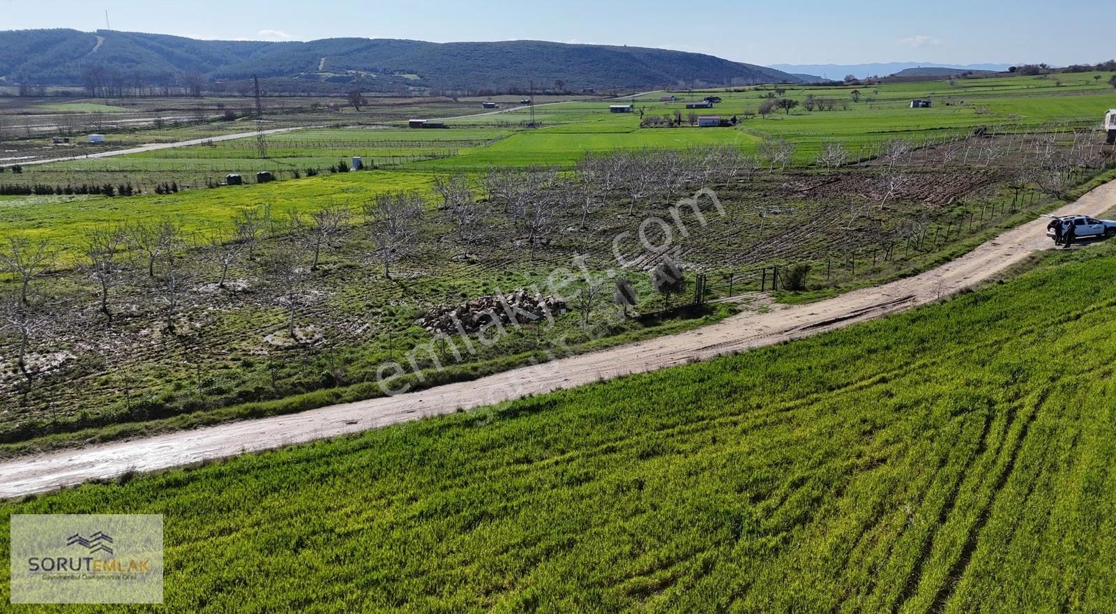 Keşan Mecidiye'de Satılık Ceviz Bahçesi - 5.537 M² - Görsel 10