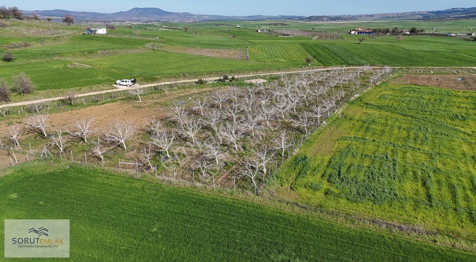 Keşan Mecidiye'de Satılık Ceviz Bahçesi - 5.537 M² - Görsel 8