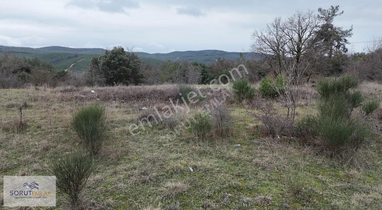 Keşan Yerlisuda 1.340 M² Müstakil Tapulu Satılık Tarla - Görsel 5