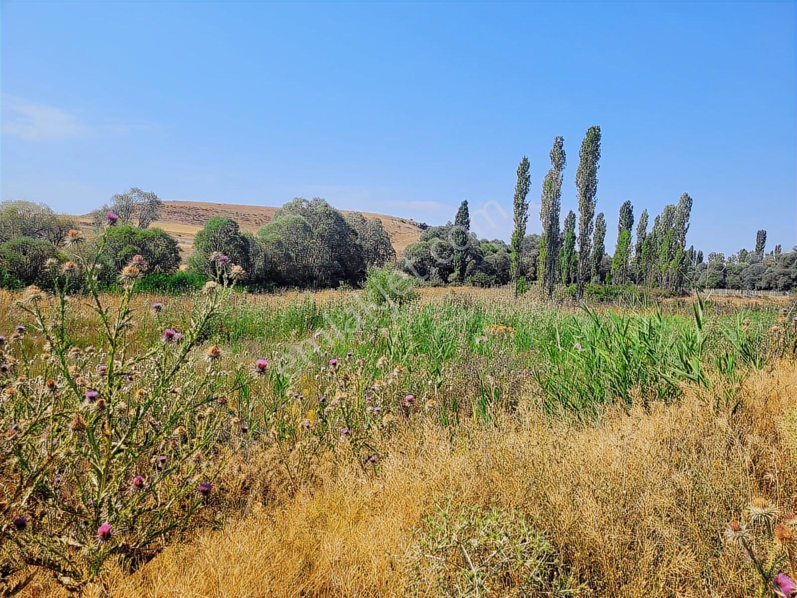 Seyitgazi Kesenler'de 1702 M2 Doğa İçinde Tarla + Yaşam Alanı - Görsel 15