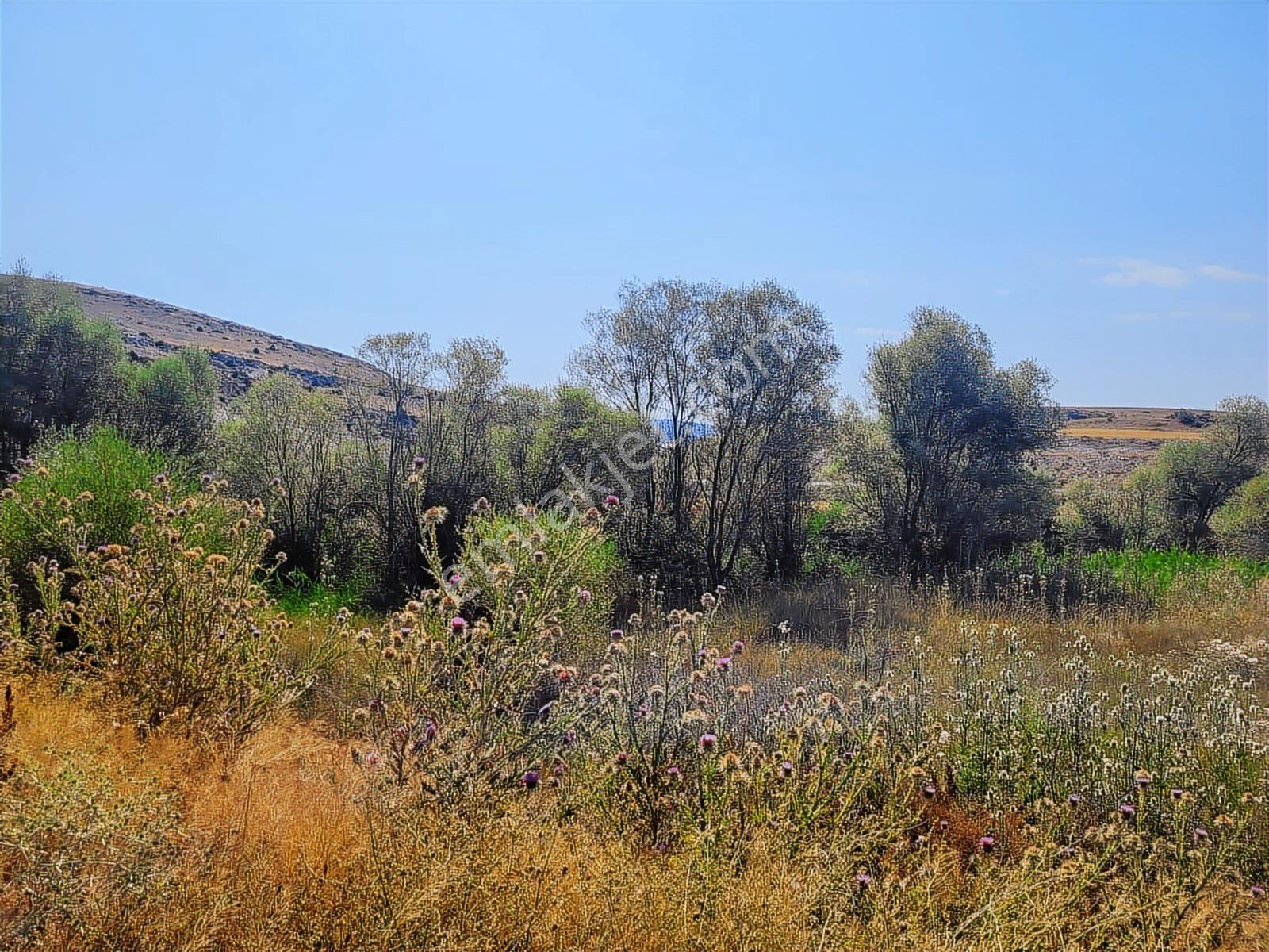 Seyitgazi Kesenler'de 1702 M2 Doğa İçinde Tarla + Yaşam Alanı - Görsel 17