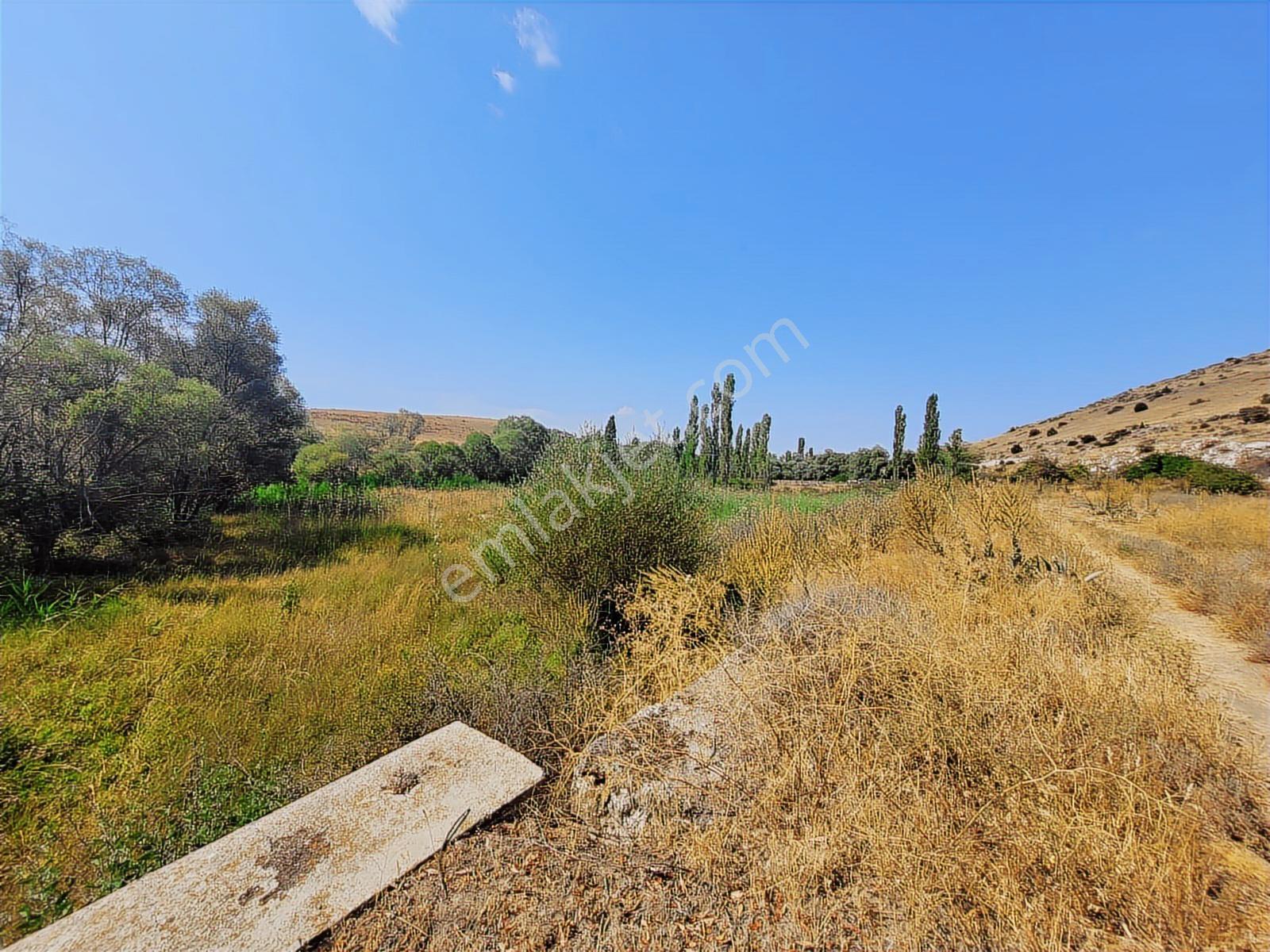 Seyitgazi Kesenler'de 1702 M2 Doğa İçinde Tarla + Yaşam Alanı - Görsel 6