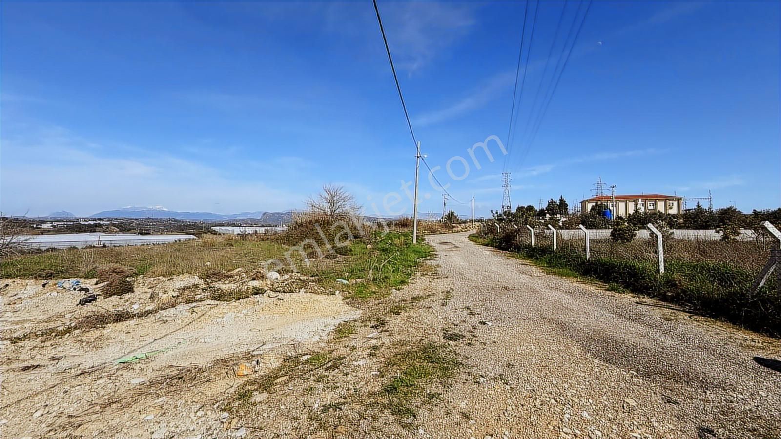 Manavgat Yavrudoğan Mahallesi Satılık Tek Tapu 4600 M2 Tarla - Görsel 9