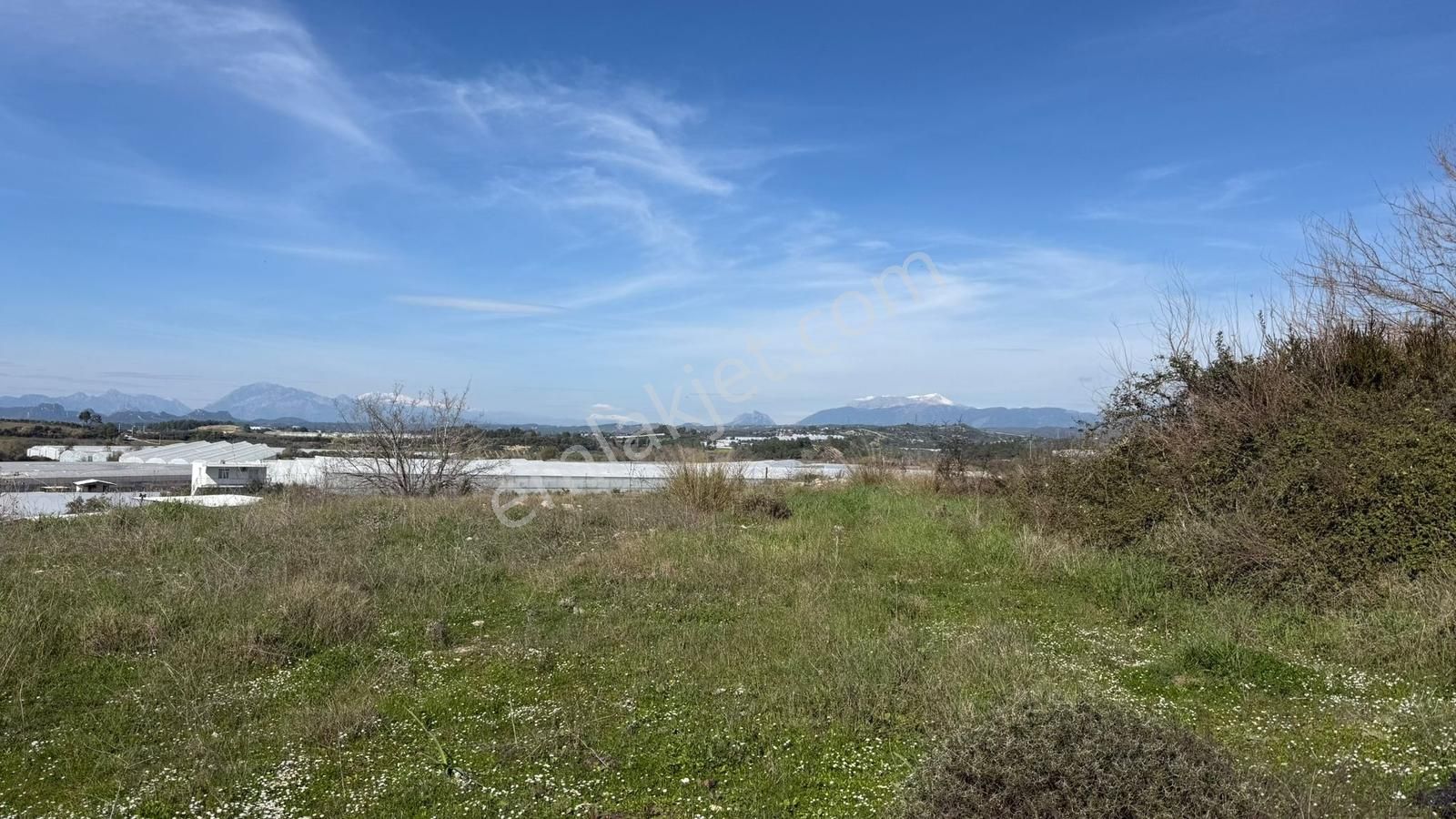 Manavgat Yavrudoğan Mahallesi Satılık Tek Tapu 4600 M2 Tarla - Görsel 8