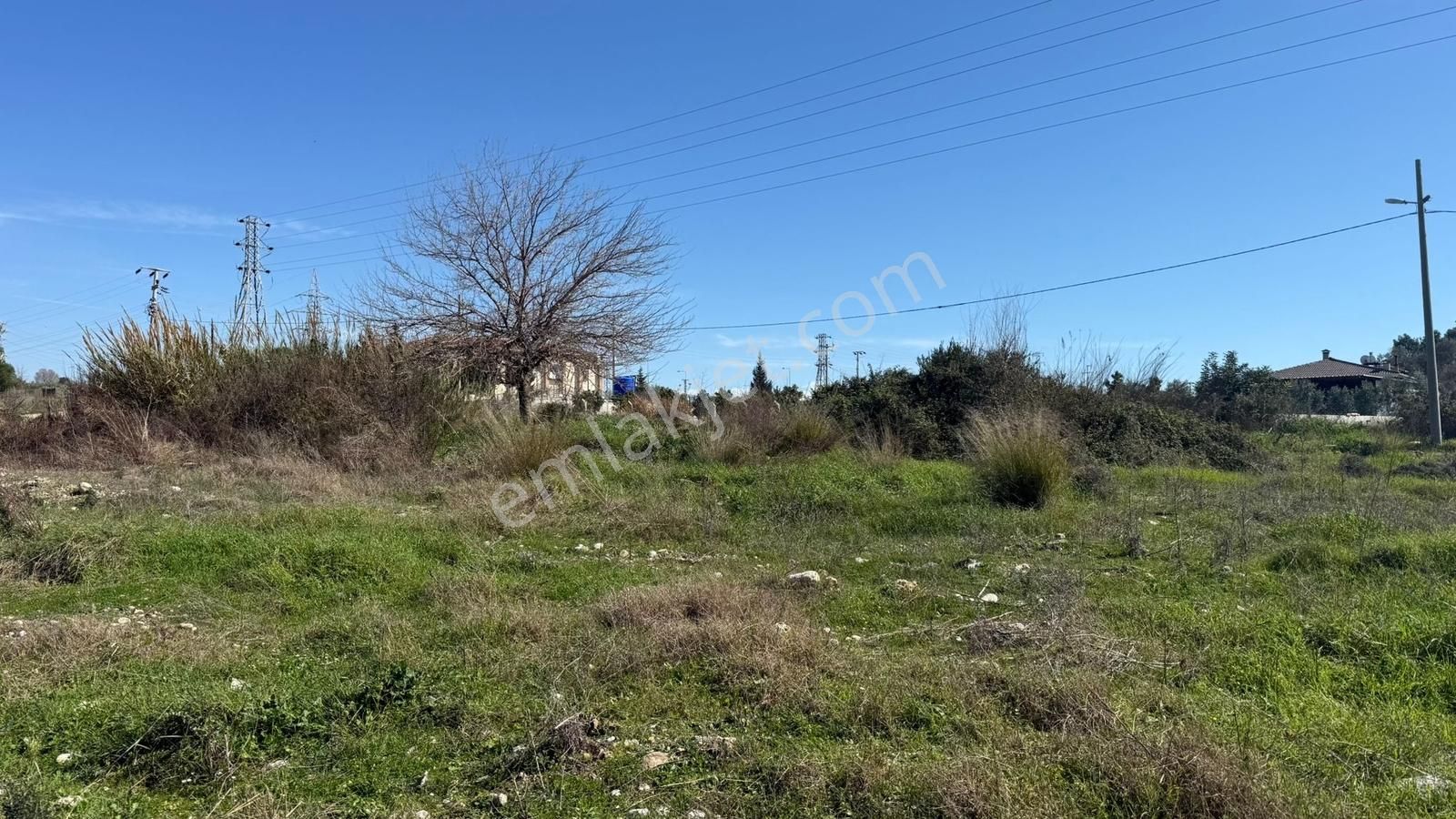 Manavgat Yavrudoğan Mahallesi Satılık Tek Tapu 4600 M2 Tarla - Görsel 6