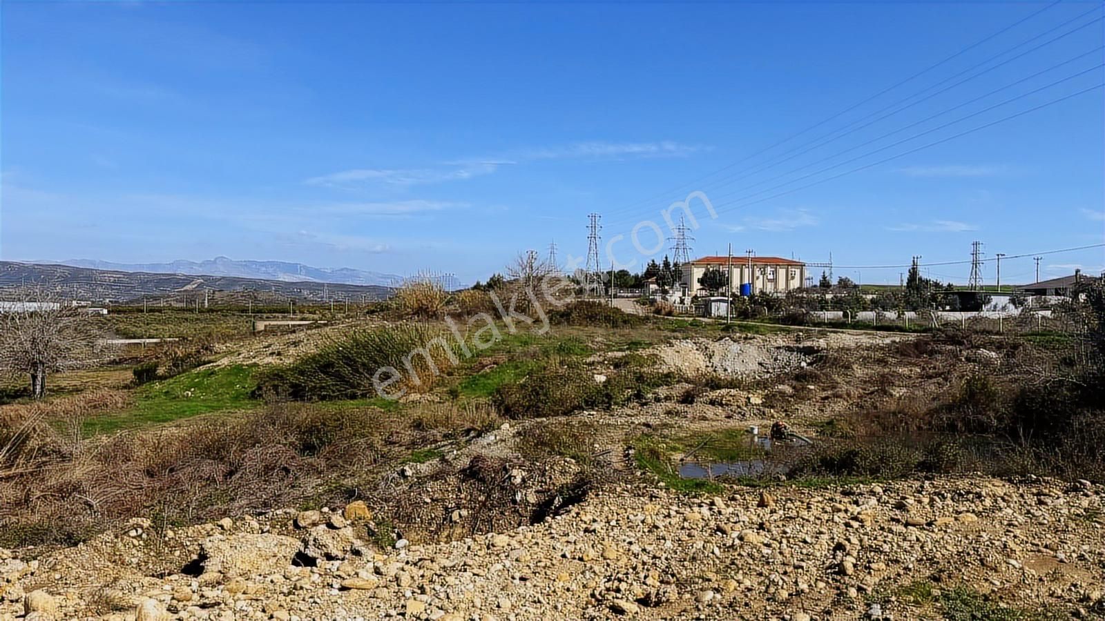 Manavgat Yavrudoğan Mahallesi Satılık Tek Tapu 4600 M2 Tarla - Görsel 2