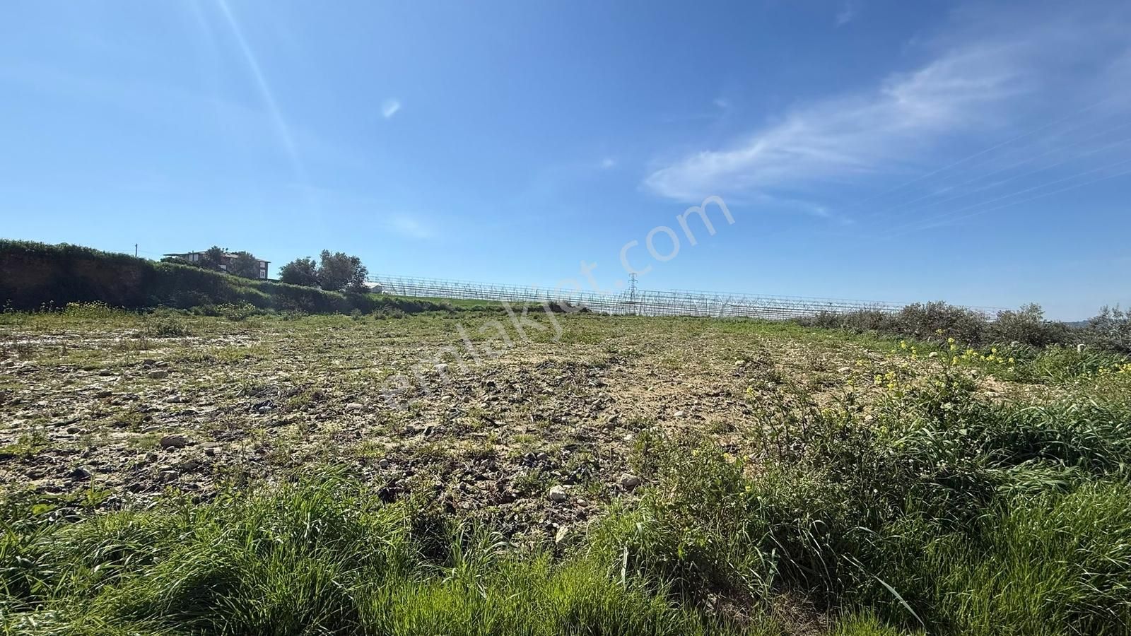 Manavgat Yavrudoğan Mahallesi Satılık Tek Tapu 3500 M2 Tarla - Görsel 8