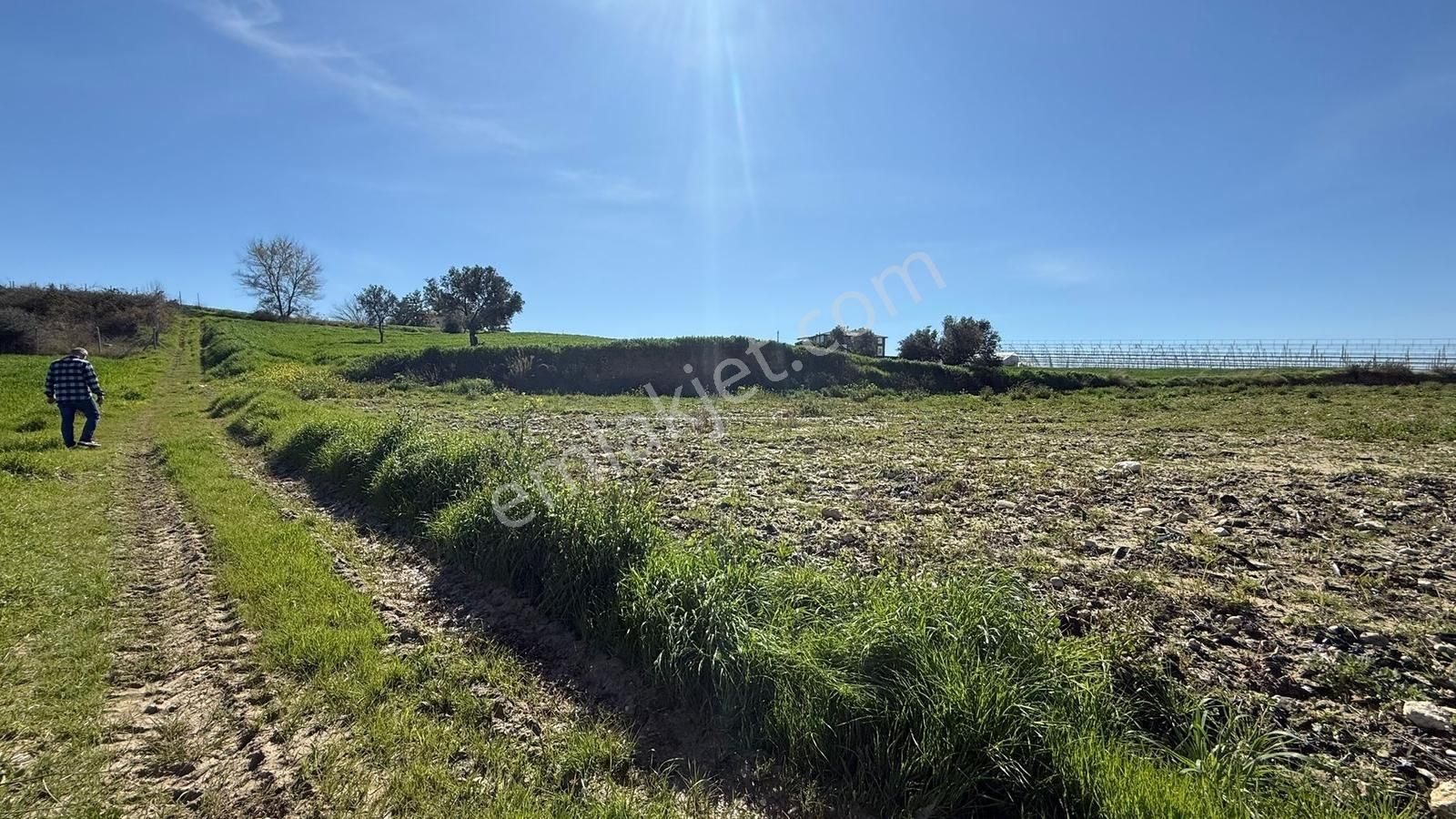 Manavgat Yavrudoğan Mahallesi Satılık Tek Tapu 3500 M2 Tarla