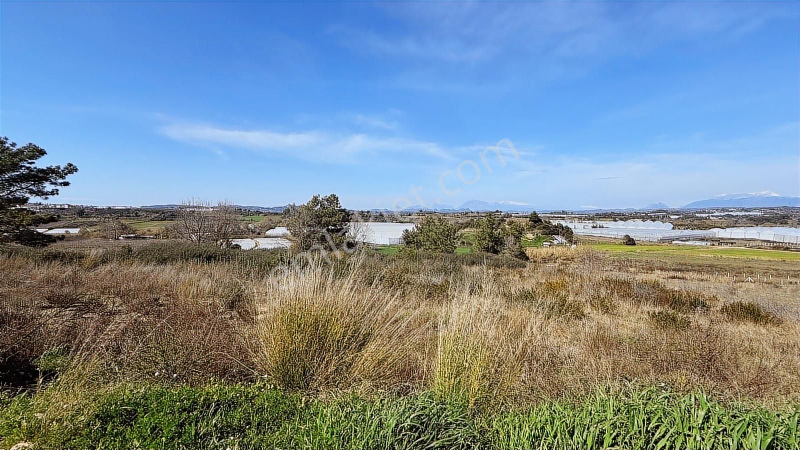 Manavgat Yavrudoğan Mahallesi Satılık Tek Tapu 9600 M2 Tarla - Görsel 10