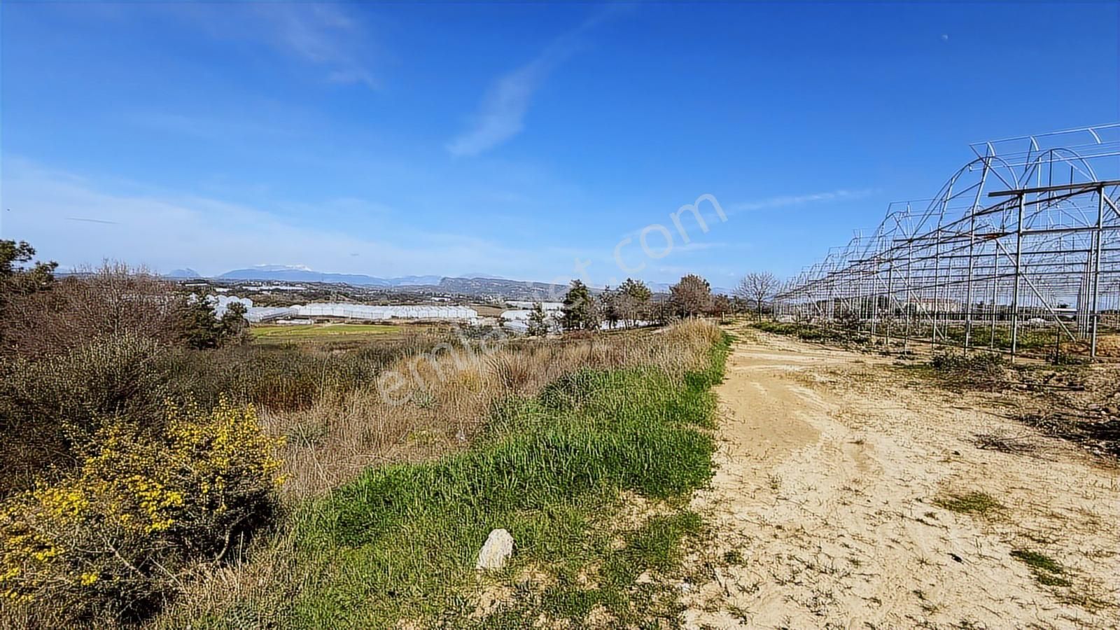 Manavgat Yavrudoğan Mahallesi Satılık Tek Tapu 9600 M2 Tarla - Görsel 7