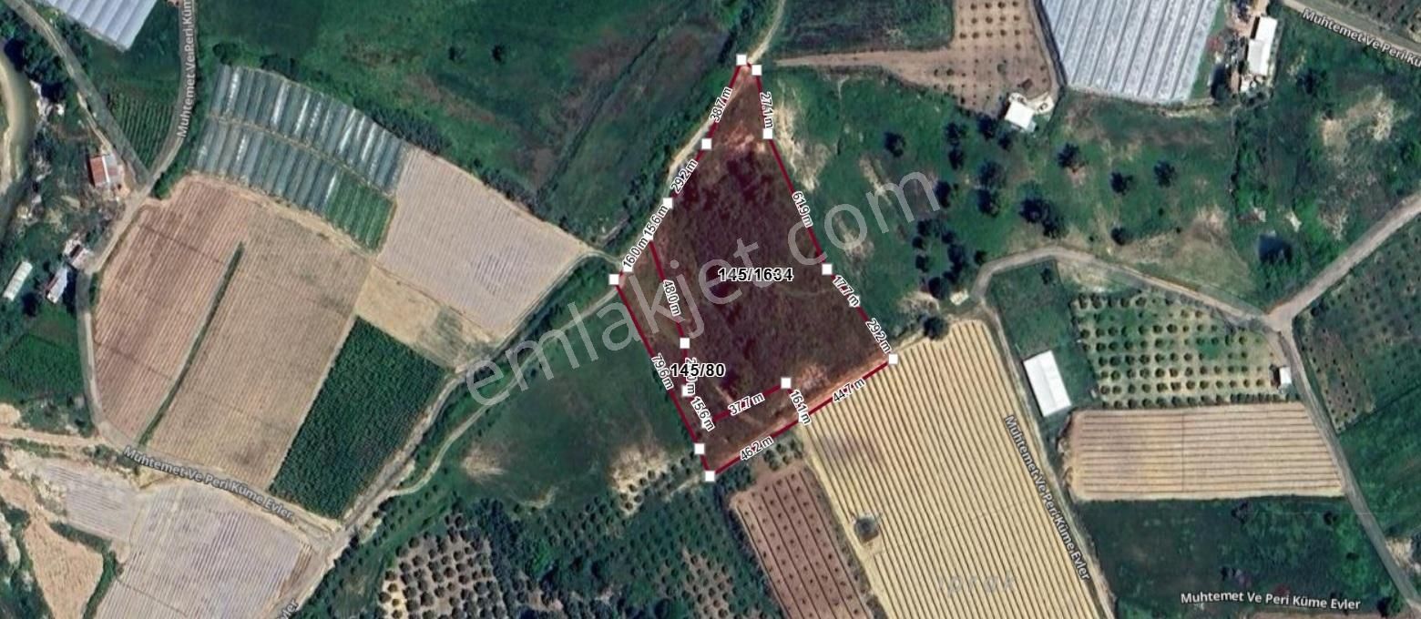 Manavgat Yavrudoğan Mahallesi Satılık Tek Tapu 9600 M2 Tarla - Görsel 8