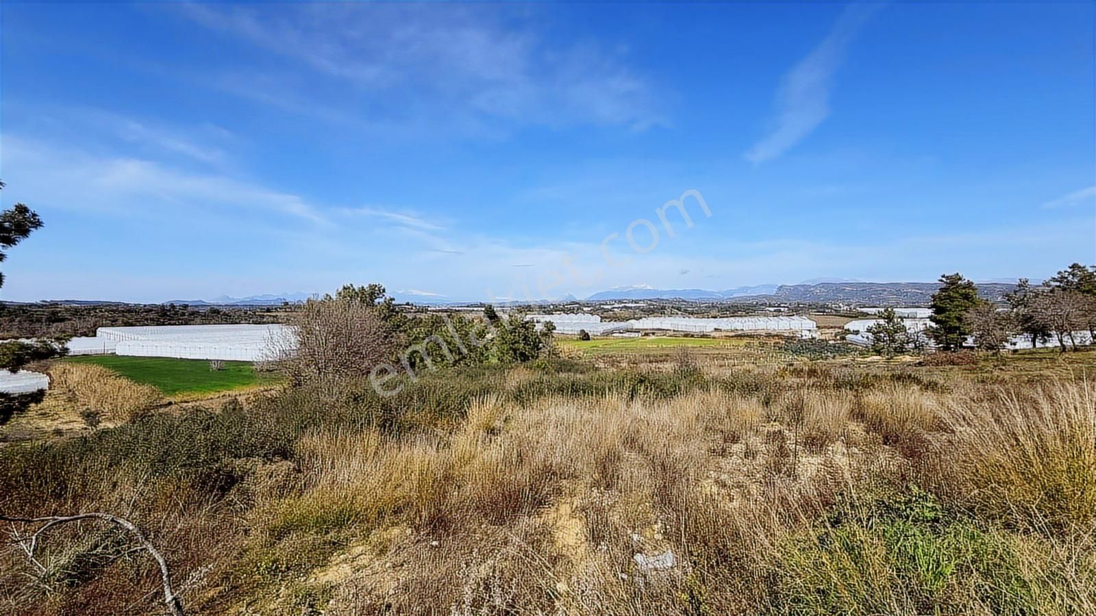 Manavgat Yavrudoğan Mahallesi Satılık Tek Tapu 9600 M2 Tarla - Görsel 6