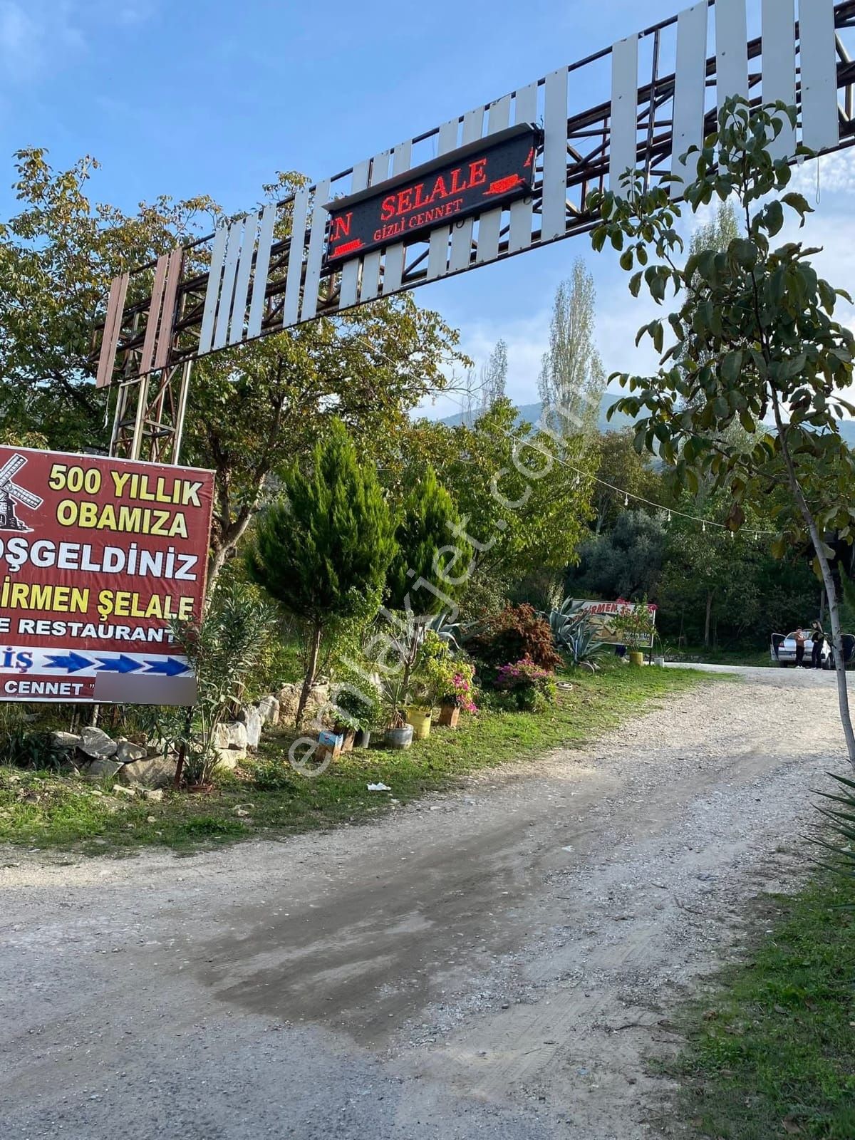 Akçaşehir Köyünde Nadir Bulunan Fırsat Zeytinlik