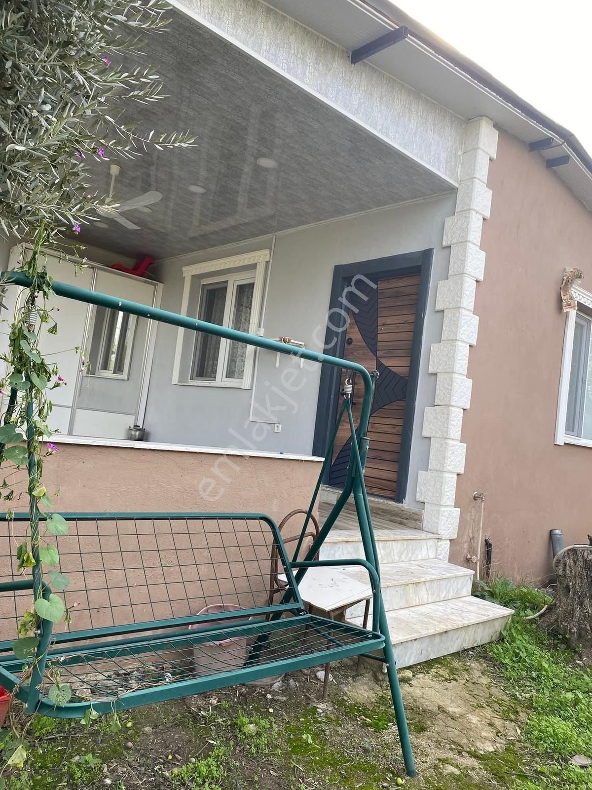 Akçaşehir Köyünde Nadir Bulunan Fırsat Zeytinlik - Görsel 15