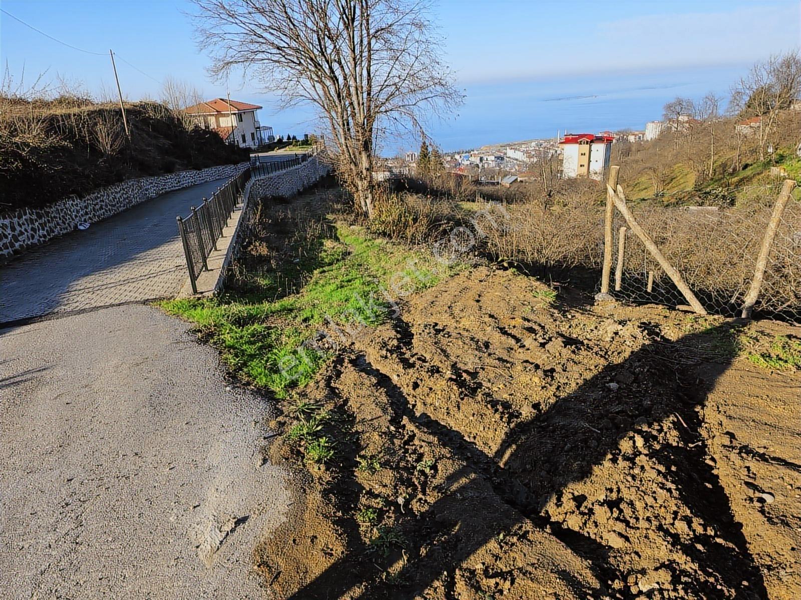 Kuzey City Gayrimenkul Den Deniz Manzaralı Arazi - Görsel 14