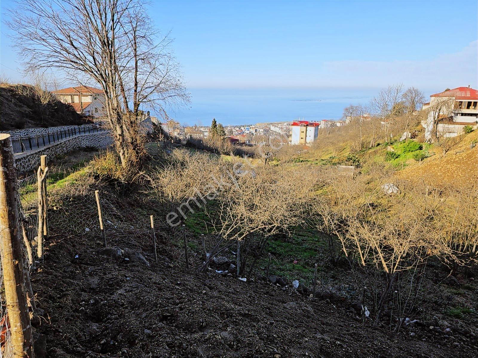Kuzey City Gayrimenkul Den Deniz Manzaralı Arazi - Görsel 11