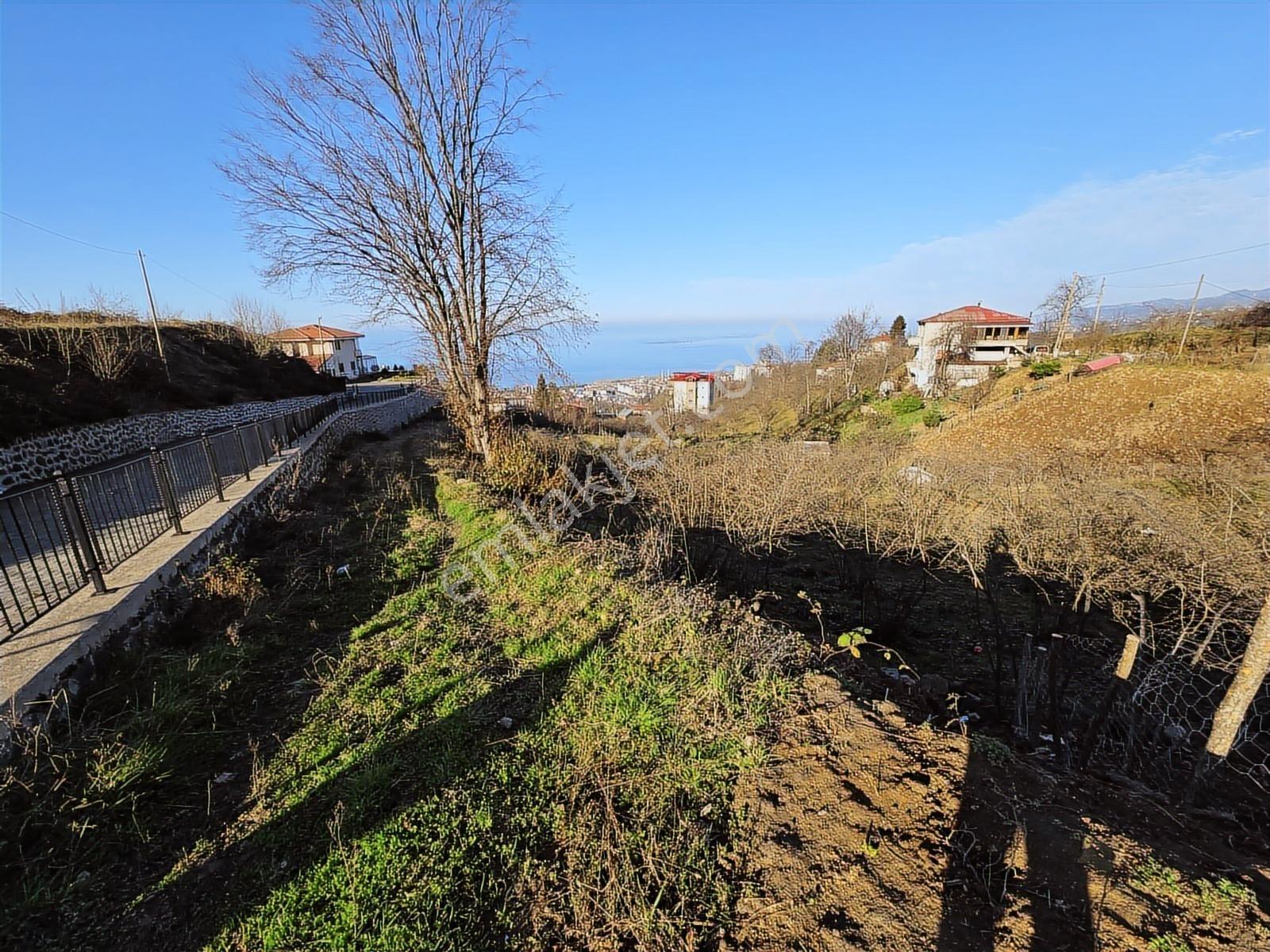 Kuzey City Gayrimenkul Den Deniz Manzaralı Arazi - Görsel 13