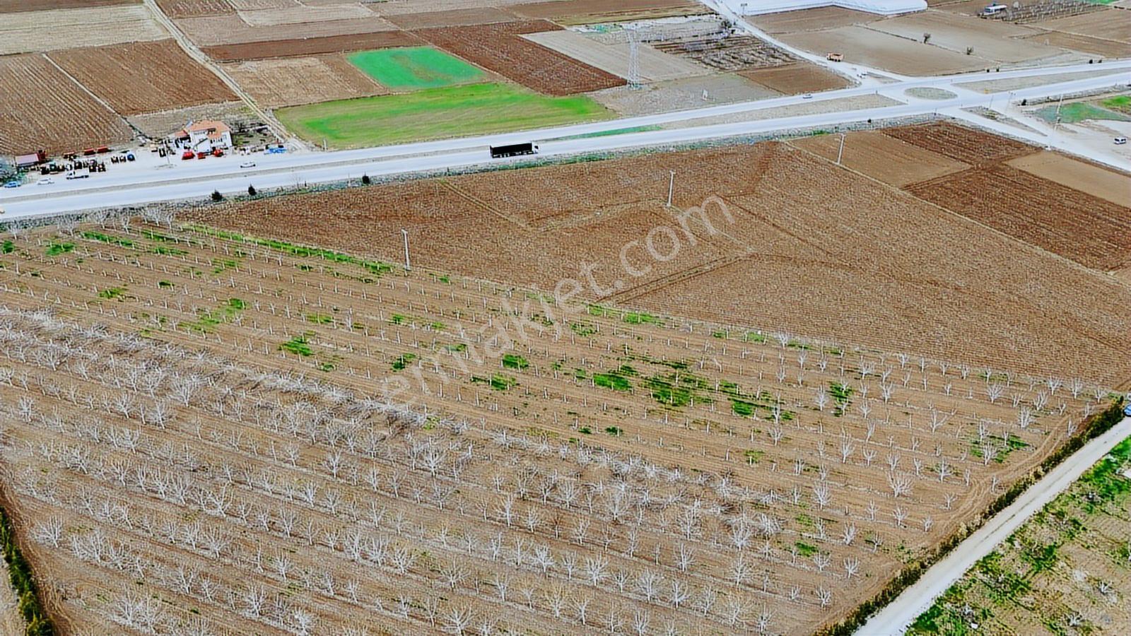 Yeni Sebze Meyve Haline Komşu Sanayi İmarlı Arsa - Görsel 14