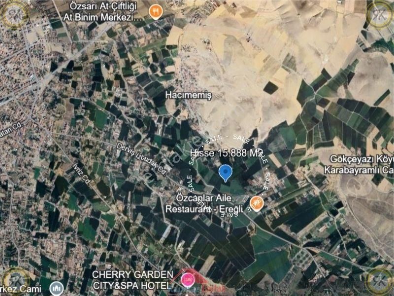 Kaçmazemlak'tan Konya Ereğli Hacımemiş Mahallesi Sulak Ve Verimli Hisseli Tarla 15.888 M2 - Görsel 5
