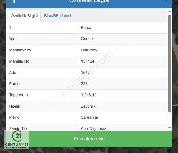 C21 Cius; Umurbey'de Yola Cephe 1248 M2 Zeytinlik - Görsel 2