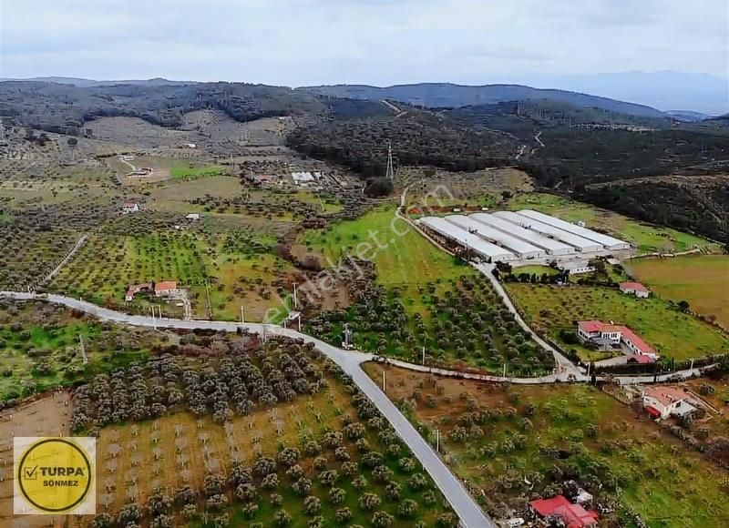 Torbalı Düverlik De Satılık Tarla - Görsel 4