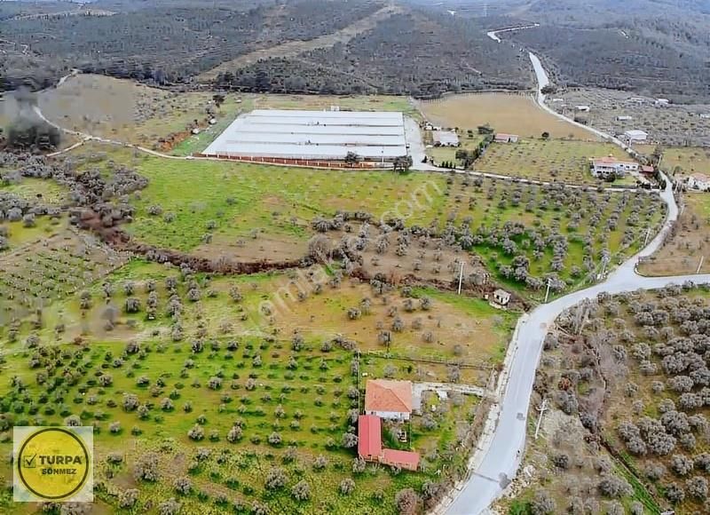 Torbalı Düverlik De Satılık Tarla