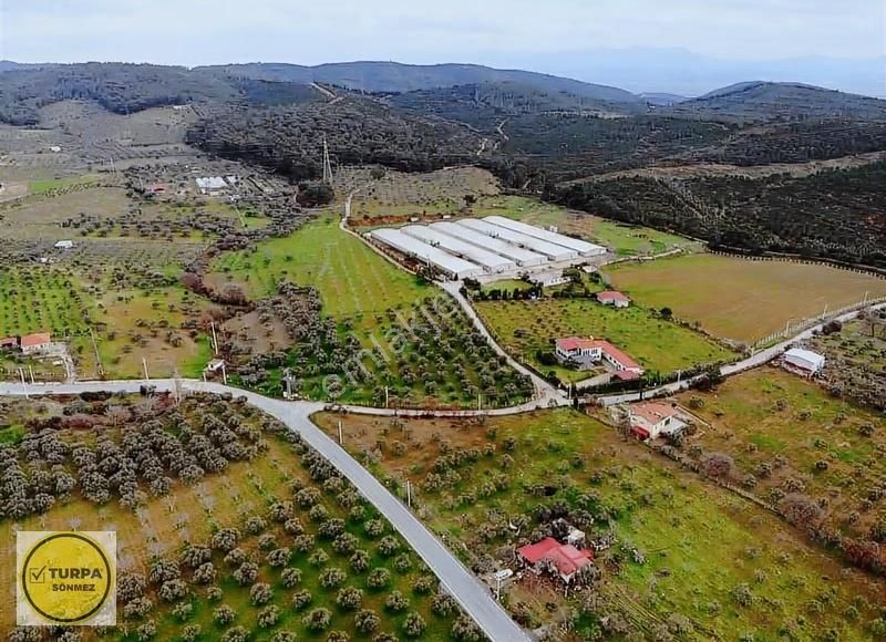 Torbalı Düverlik De Satılık Tarla - Görsel 10