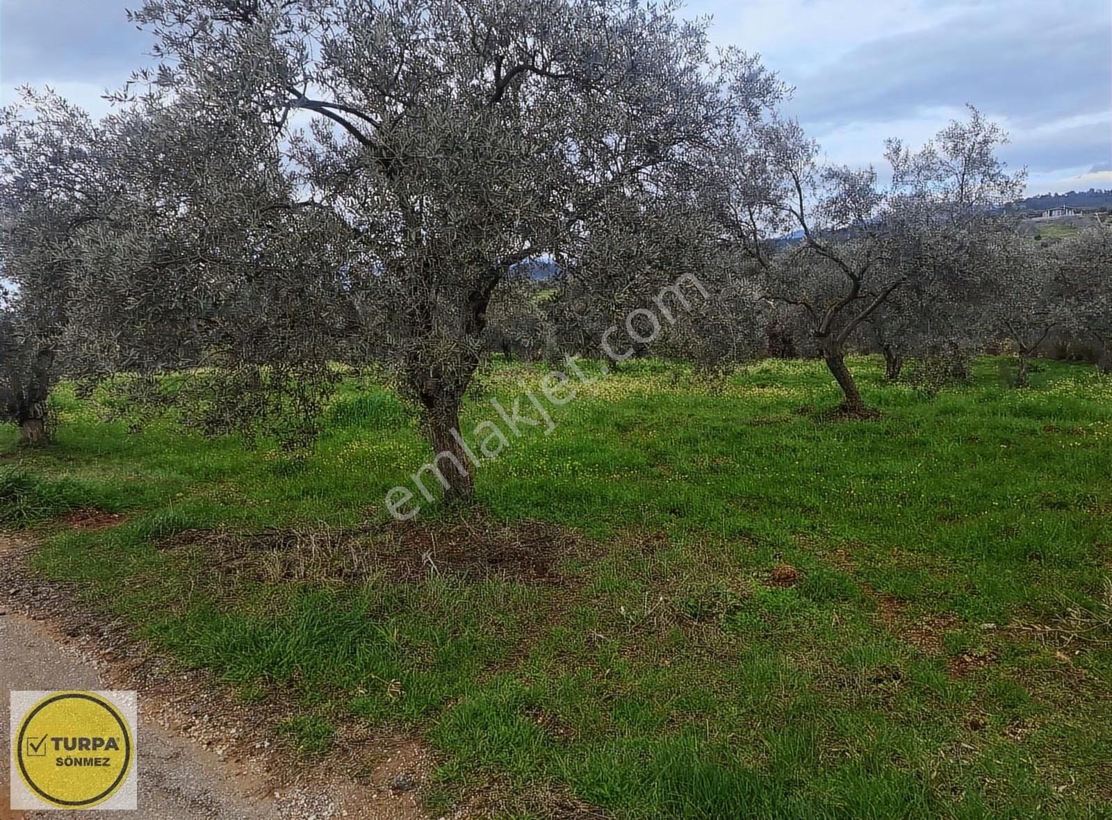 Torbalı Düverlik De Satılık Tarla - Görsel 14