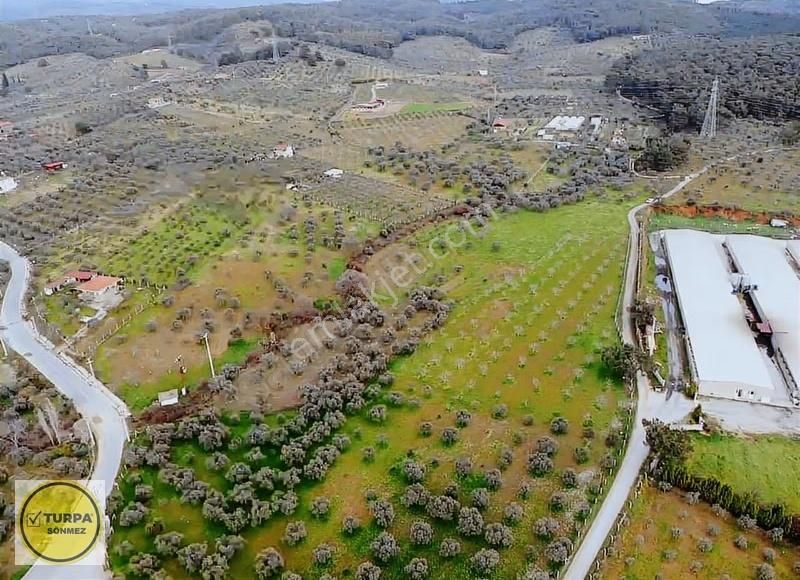 Torbalı Düverlik De Satılık Tarla - Görsel 3