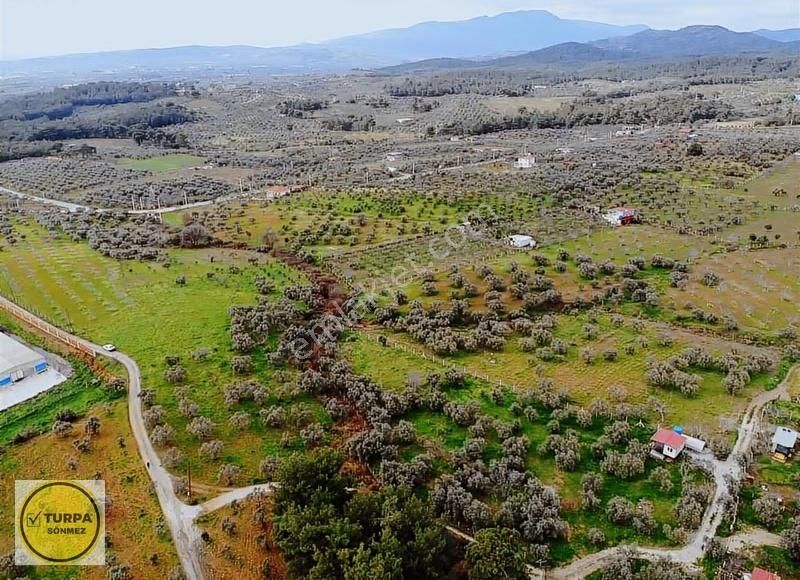 Torbalı Düverlik De Satılık Tarla - Görsel 7