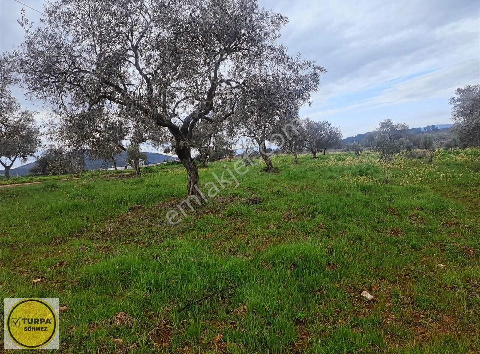 Torbalı Düverlik De Satılık Tarla - Görsel 12