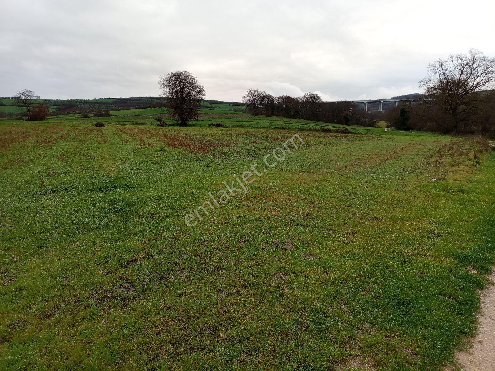 Çaylı Mahallesi Satılık 3.720 Mt Tarla - Görsel 3